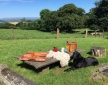 Little Links Yurt, Dartmoor