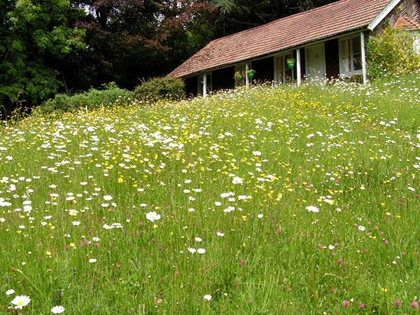 Cottage in the Garden, near Ashdown Forest