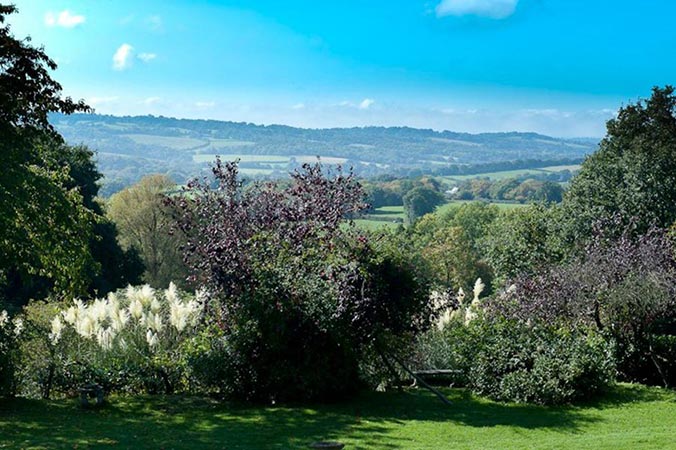 Cottage in the Garden, near Ashdown Forest