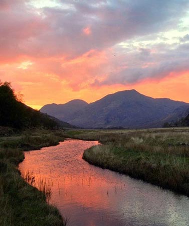 Cuil Moss, near Fort William