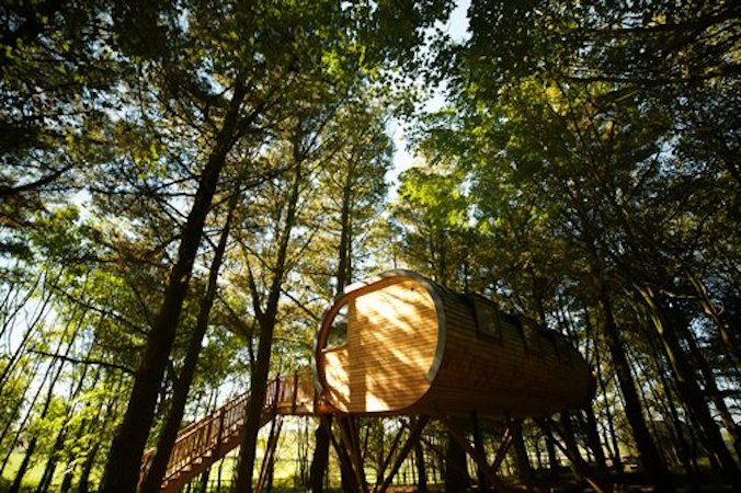 The Hideaway Treehouse at Pickwell Manor