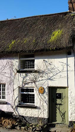 Little Owl Cottage, Exmoor