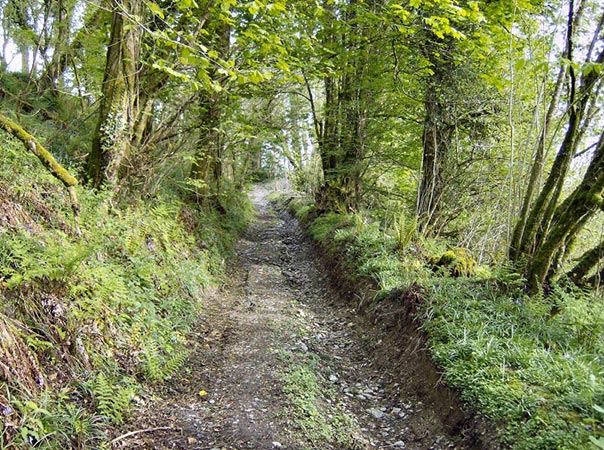 Penyrallt Fach Cottage