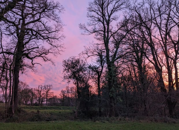 Old Rose Shepherd’s Hut Retreat, Blackdown Hills