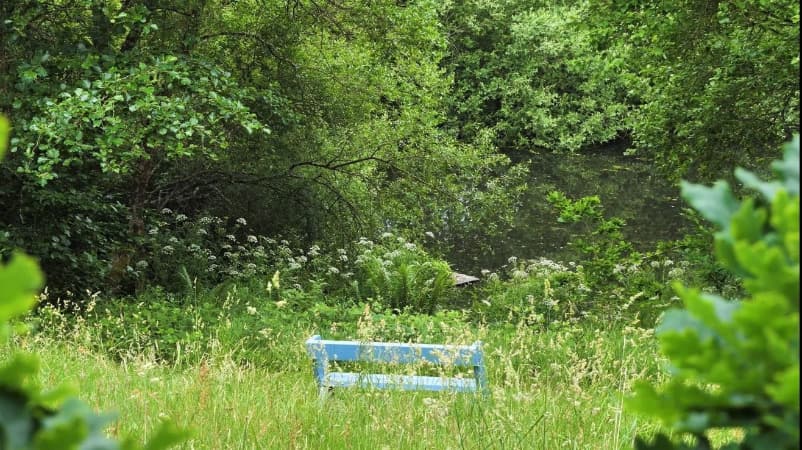 The Owlery at Dittiscombe