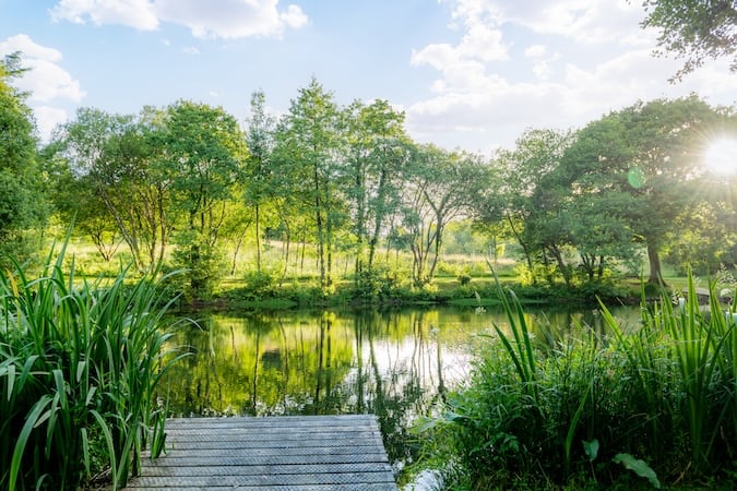 Lake View on Millbrook Estate