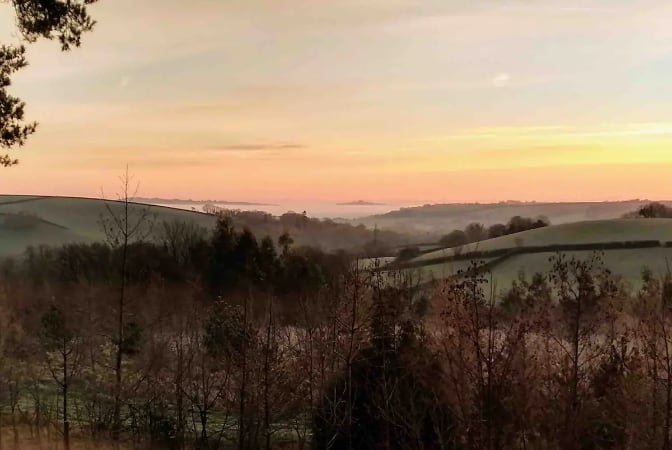 The Oystercatcher, near Totnes