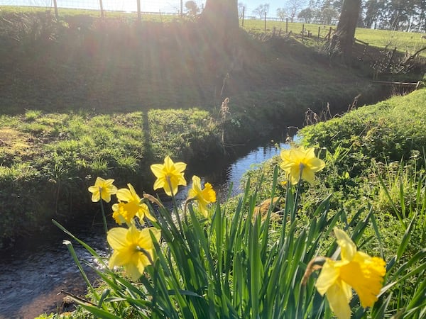 Hen House, near Ludlow