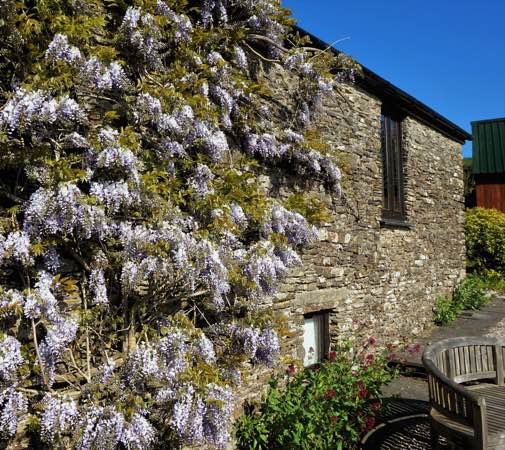 The Owlery at Dittiscombe