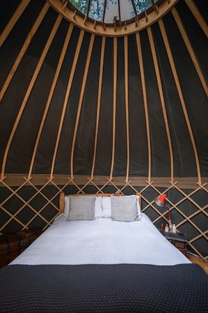 The Yurt Hideaway, near Carmarthen