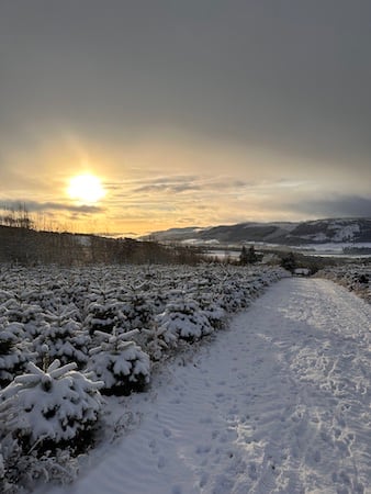 The Premium Cabin, Pitlochry