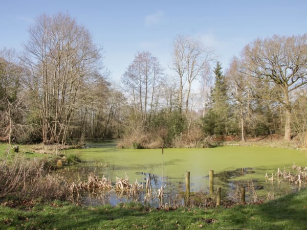 Buzzard Lodge, Welsh Borders