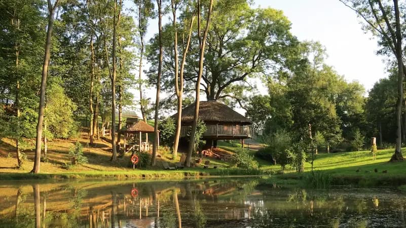 Eathelin Treehouse, nr Tenbury Wells