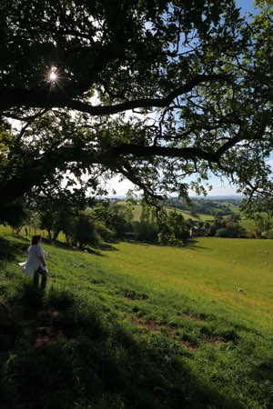 Upper Gelli Lodge, Welsh Borders